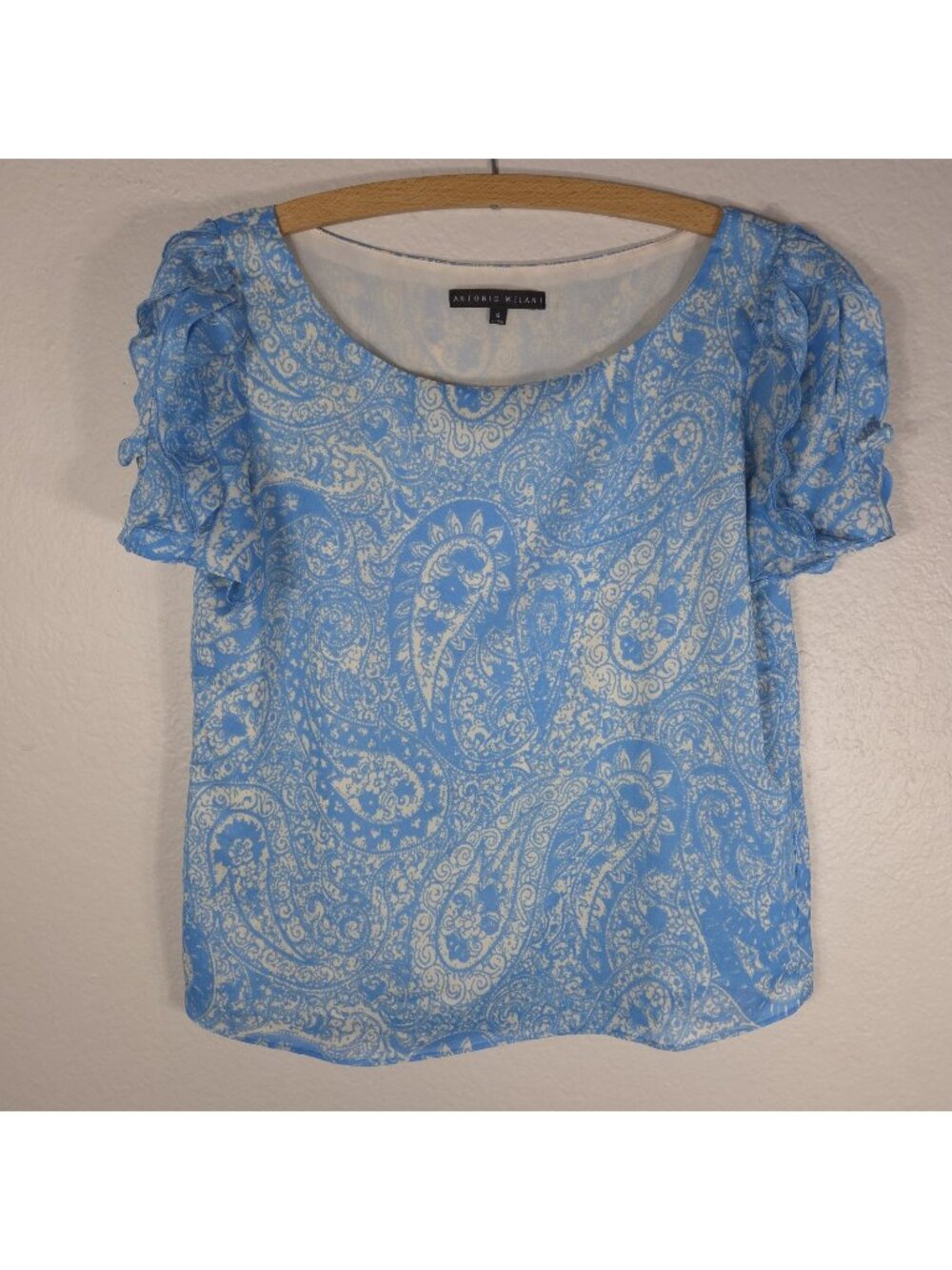 Antonio Melani Sheer Ruffle LightBlue V-Neck Blouse Top Sz S Pasley Short Sleeve